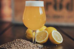 Baumwollenburg2023-scaled