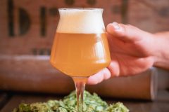 Rewind-0-med-hand-scaled