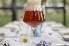 Summer-Batch-kopiera-scaled